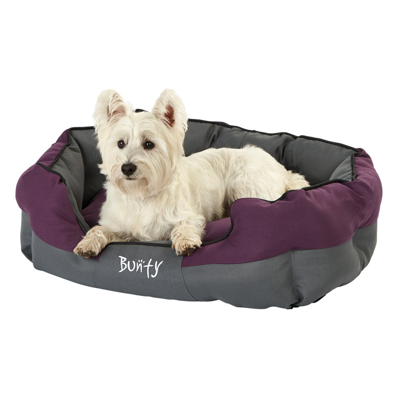 Levesque Polyester Pet Bed, Purple, 25cm H x 75cm W x 60cm D
