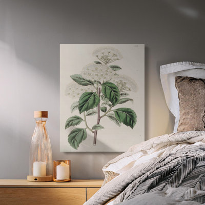 Hershberger Wrapped Canvas Print Set