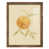 Cadre noyer
