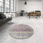 Oriental Indoor Rug-2033937449