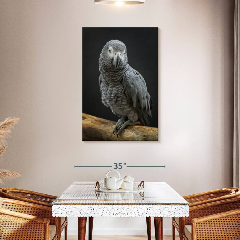 Brampt Congo Grey Parrot, 45" H x 30" W