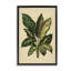 Cadre flottant avec feuilles tropicales et feuilles vertes, design par Petal Prints Design-445233784-445233786