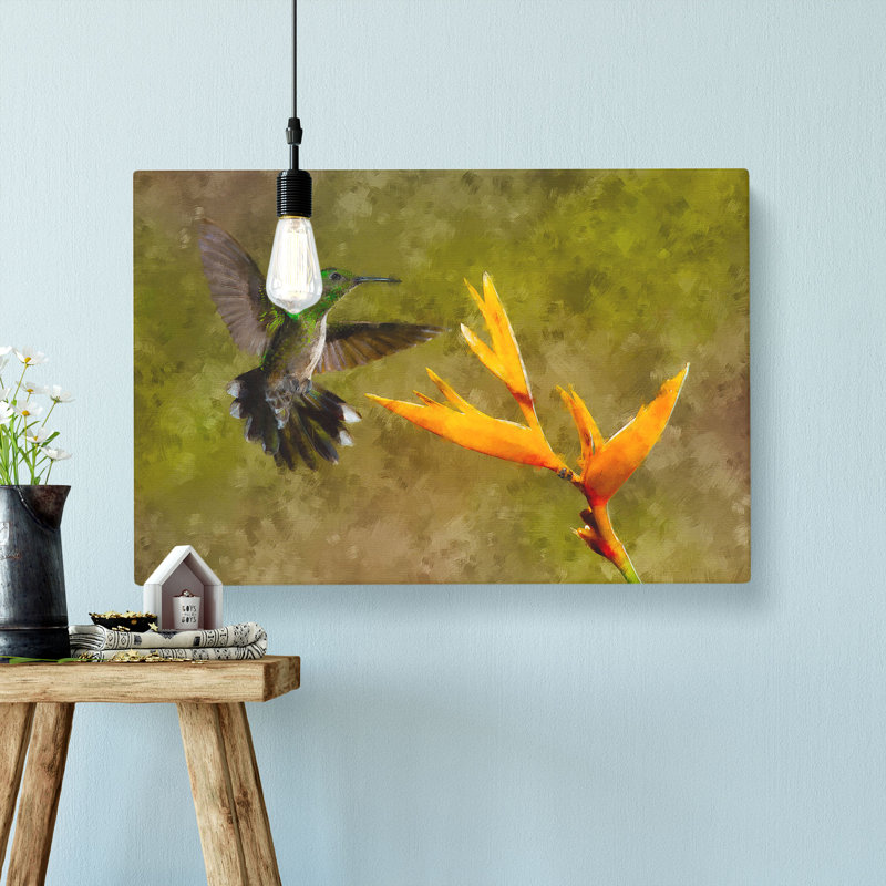 Hummingbird By A Flower - Wrapped Canvas, 35cm H x 50cm W x 3cm D