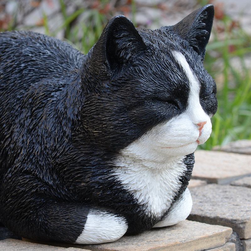 Chat tigré noir et blanc au repos, Noir et blanc