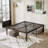 Kyriel 16'' Metal Platform Bed Frame-1039296177