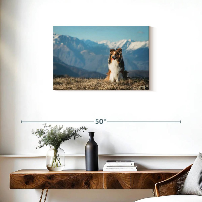 Brampt Shetland Sheepdog, 20" H x 30" W