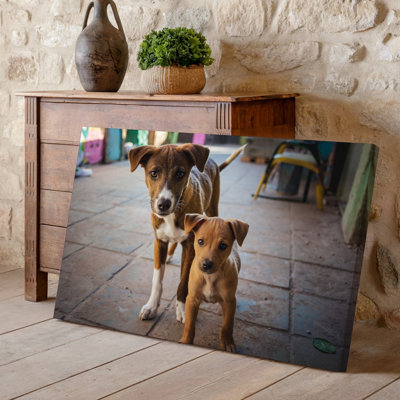 Canvas Two Playful Puppies Stand On A Tiled Floor Their Fur Wall Art Glistening Under Soft Warm Lighting The First Puppy A Brown For Canvas Wall Art