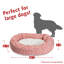 Charlie et Sherpa Bagel Donut-35291497-35291500