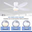 Ventilateur de plafond encastré 36/42/48 po à profil bas avec éclairage et télécommande-647977973-647977738