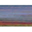 1 Piece Wrapped Canvas Wall Art-16671213