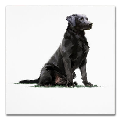 «Black Lab» par The Macneil Studio - reproduction sur toile