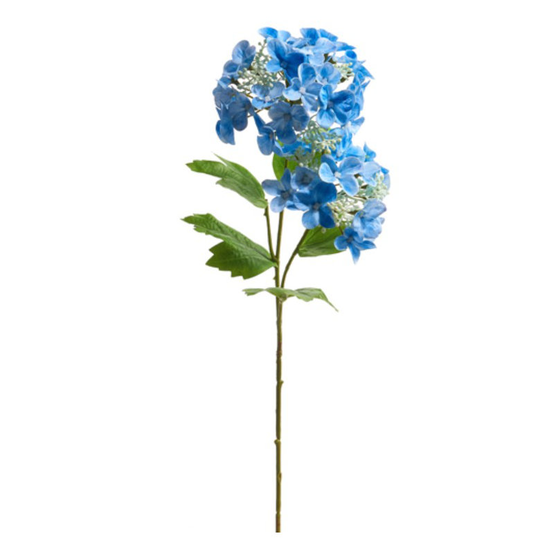 Hydrangea Arrangement