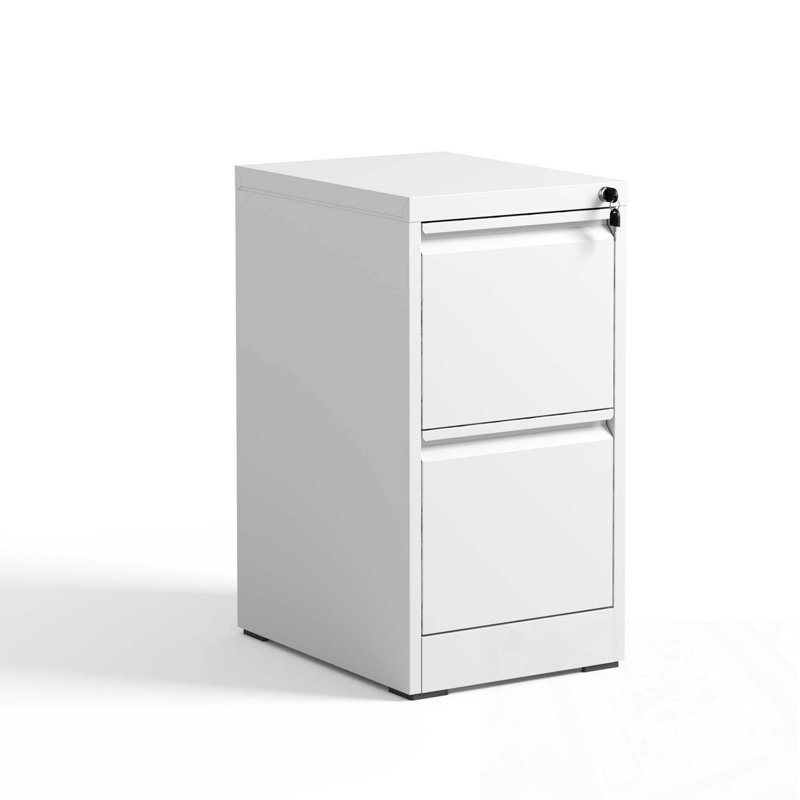 Metal Vertical File Cabinet With Lock And 2 Drawers, White