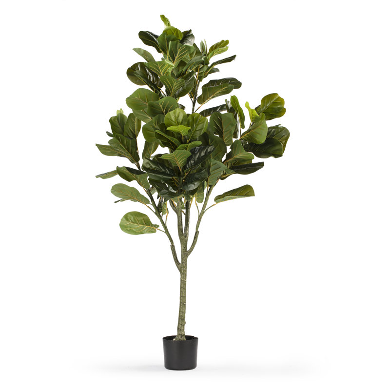 Artificial Fiddle Leaf Fig Tree In Plastic Nursery Pot, 48" H x 24" W x 24" D