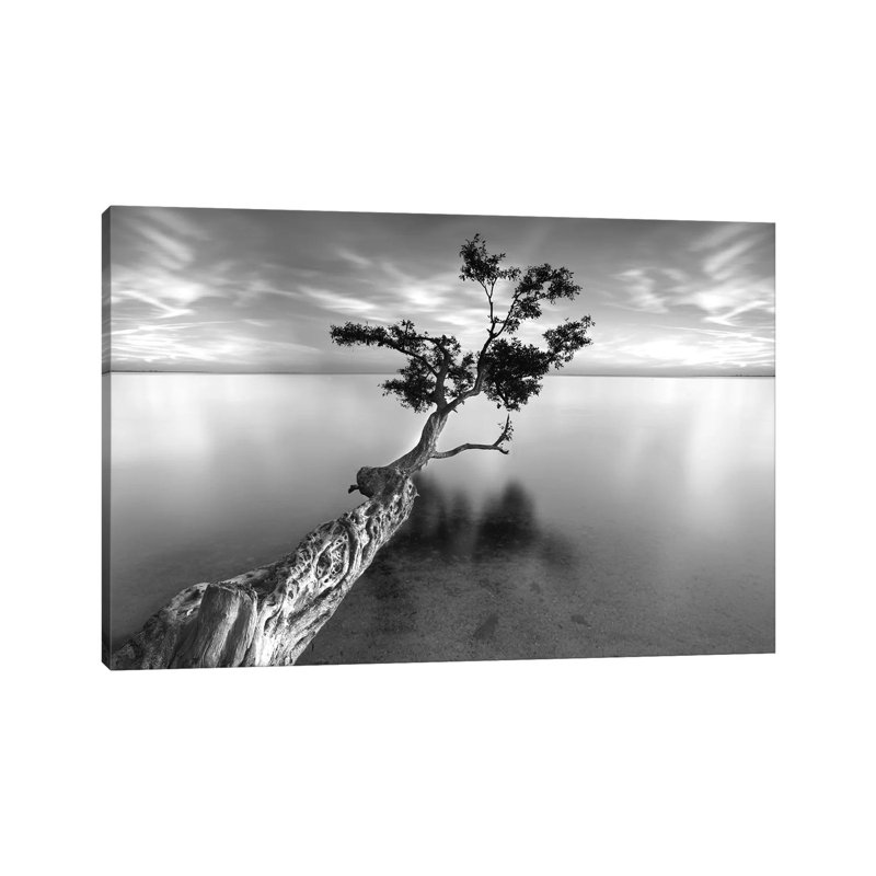 Moises Levy by Moises Levy - Wrapped Canvas Gallery-Wrapped Canvas Giclée, 20.32cm H x 30.48cm W