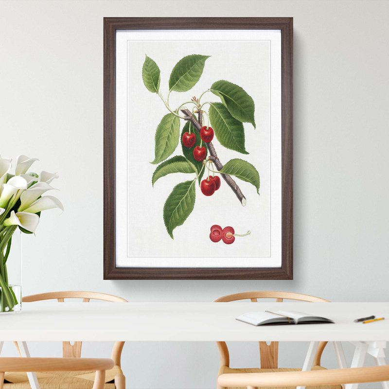 Sour Cherry Tree by Giorgio Gallesio - Picture Frame Painting Print, 65cm H x 48cm W x 2cm D, Walnut Framed