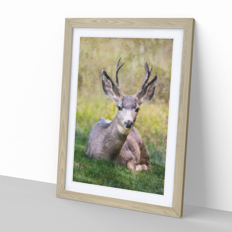 A Resting Deer - Picture Frame Painting, Oak Framed, 36cm H x 27cm W x 2cm D