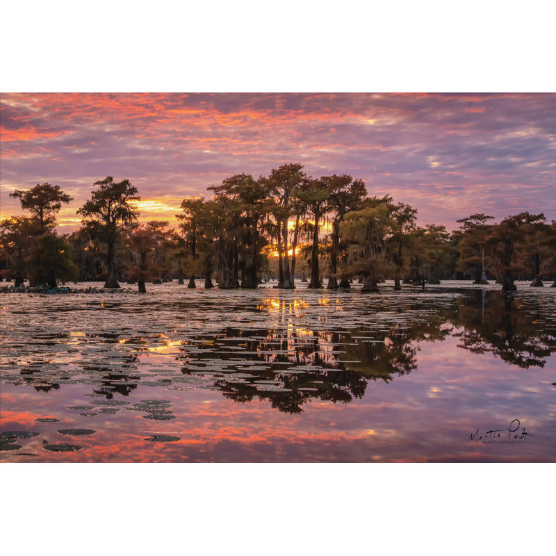 «Sundown in the Swamps» par Martin Podt - reproduction, H 8 po x l 12 po, Non, Toile tendue