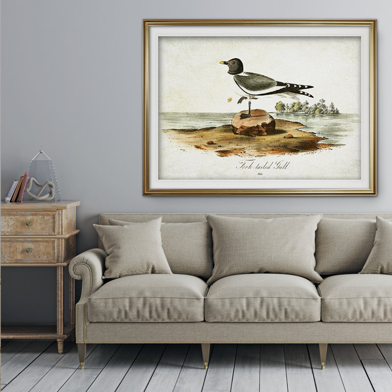 " Aviary Drawing VI ", 31" H x 43" W x 1.5" D, Gold Framed, White Mat