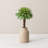 Succulent Plant Pick