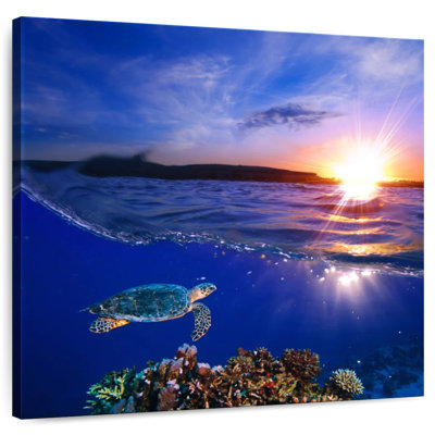Tortue de mer au coucher du soleil Alvord