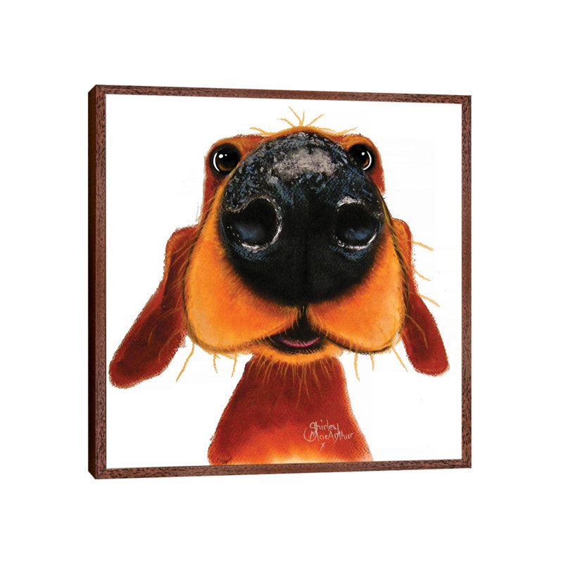Nosey Nando by Shirley Macarthur - Gallery-Wrapped Canvas Giclée on Canvas, 93.98 cm H x 93.98 cm W, Classic Wood Framed