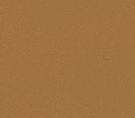 Elan Buckskin Sample