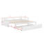 Lit de jour extensible simple avec lit gigogne-1044084028