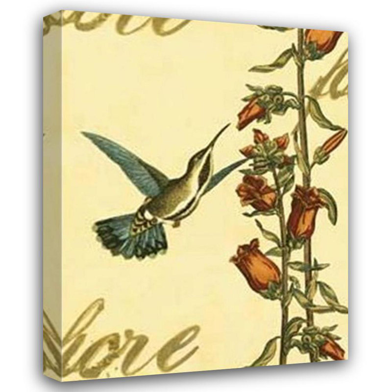 Peaceful Hummingbird I