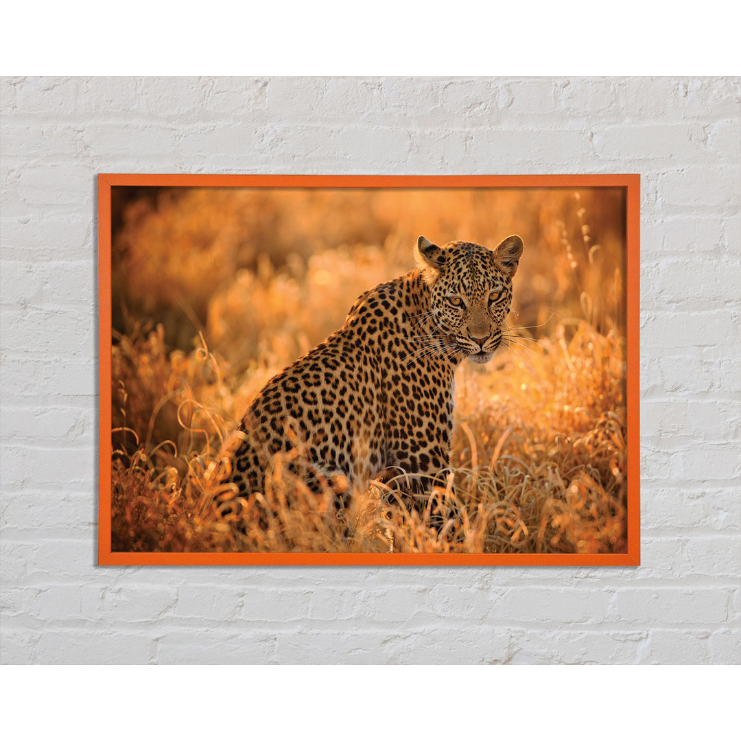 Angiolina Leopard Sunset - Einzelner Bilderrahmen Kunstdrucke