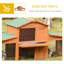 Duwayne Weather Resistant Small Animal Hutch