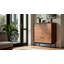 LINQ Accent Cabinet