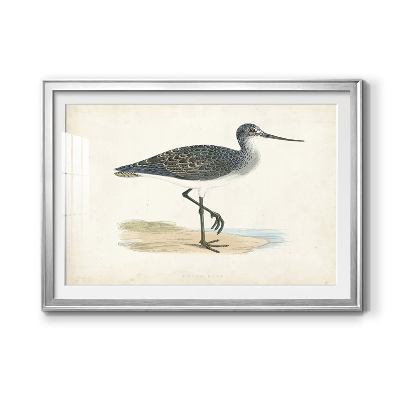 Morris Sandpipers III - reproduction de cadre photo, H 30,5 po x l 42,5 po, Argent