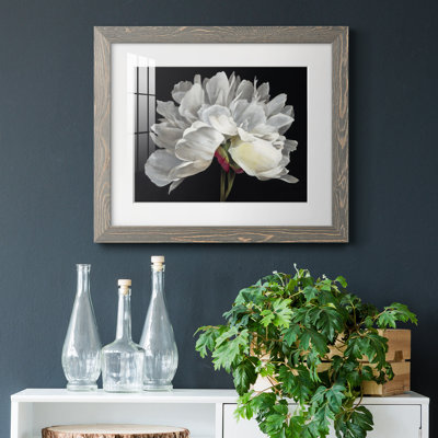" Morning Light " Painting Print