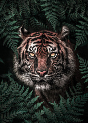 Wrapped Canvas Print, 81.28 cm H x 121.92 cm W