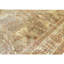 Hand Knotted Cotton Area Rug in Camel And Ivory
