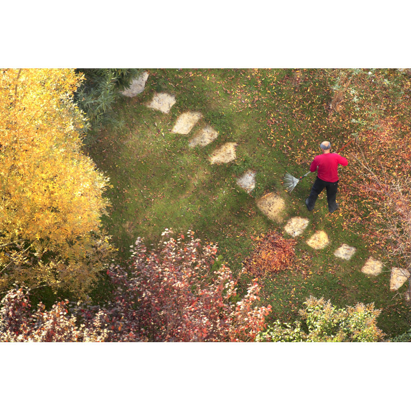 Jardinage par Imagedepotpro, H 24 po x l 36 po