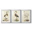 Antique Heron I - reproduction sur mesure encadrée de qualité supérieure - 3 pièces-339623385-339623388
