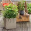 Canto Planter Box-72790957-26992020