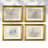 Vintage Sketch IV  -4 Piece Set of Framed Prints
