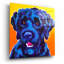 «Chien d'eau portugais - Banques» par Dawg Painter-323975818
