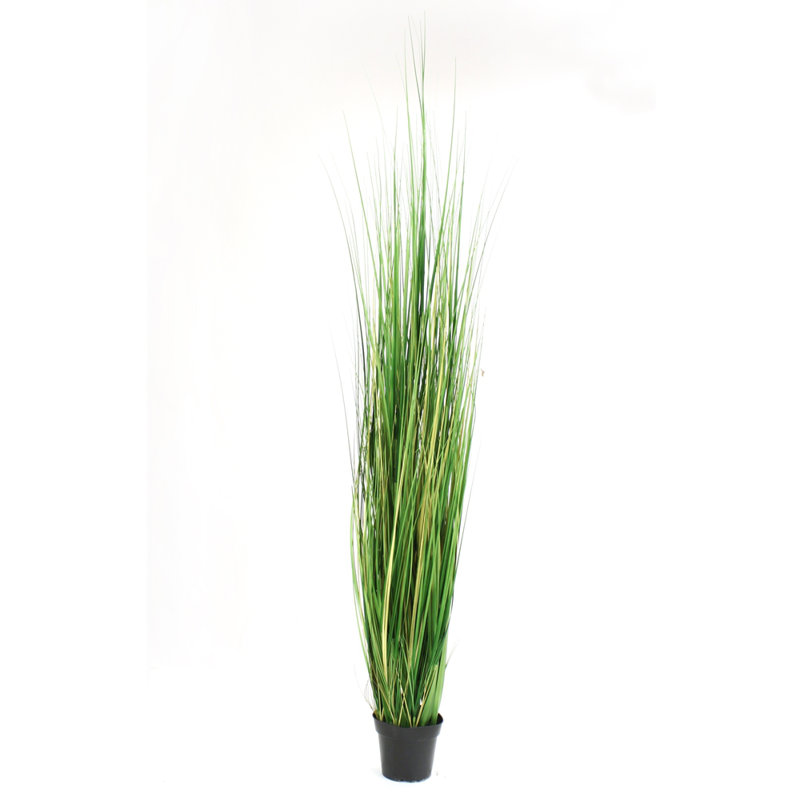 En pot PVC vert herbe en Pot
