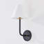 Trice 1 Light Wall Sconce