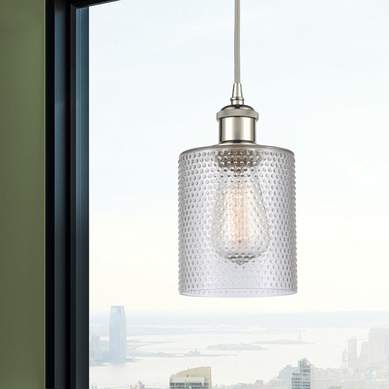 Luminaire suspendu en dôme à 1 lumière Willamette, Transparent / clair, Nickel poli, Ampoule non incluse