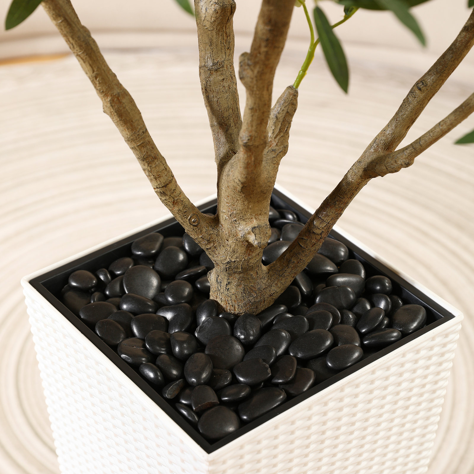 Adcock Olive Tree in Pot, 72" H x 24" W x 24" D, White
