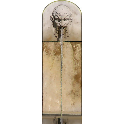 Fontaine gargouille en pierre face au lion du musée Auguste Rodin