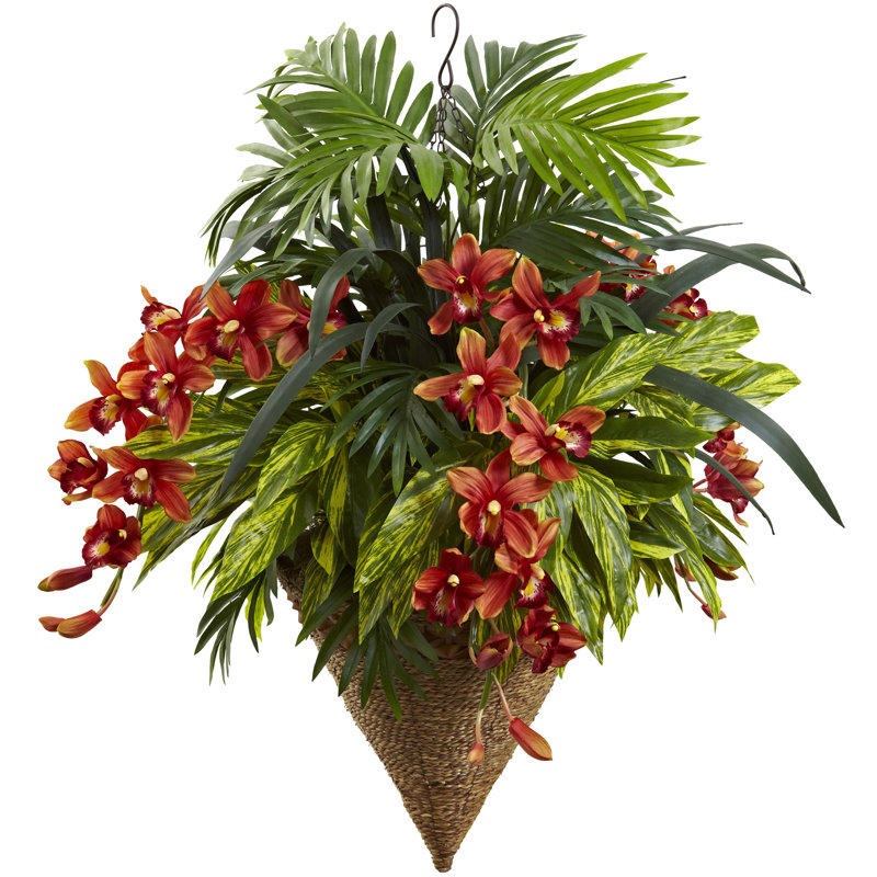 Panier suspendu tropical et cymbidium