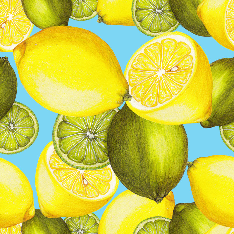 Lemons And Limes by Arevka - Wrapped Canvas Print, 76cm H x 76cm W x 3.8cm D