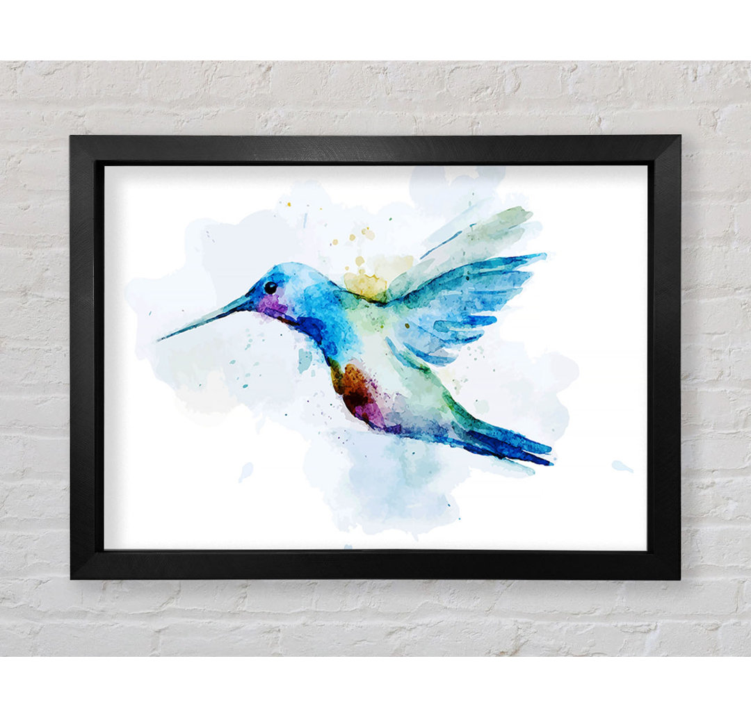 Hummingbird Splash - Einzelner Bilderrahmen Kunstdrucke