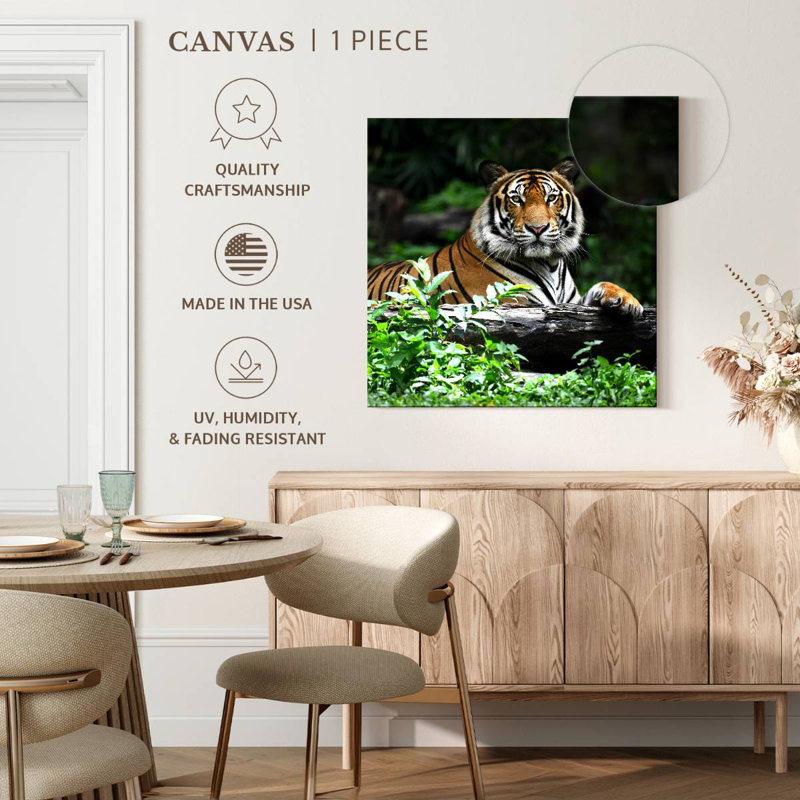 Brampt Resting Bengal Tiger, 16" H x 16" W